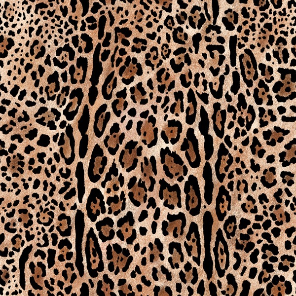 Funkčný úplet na tričká leopard